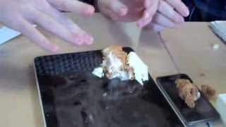 KFC Double Down Sandwich: Destroyer of Touchscreens